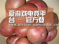 产品展示标题1