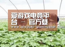 种植基地三