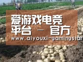 种植基地七(图1)