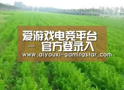 种植基地四