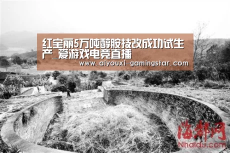 爱游戏电竞竞猜