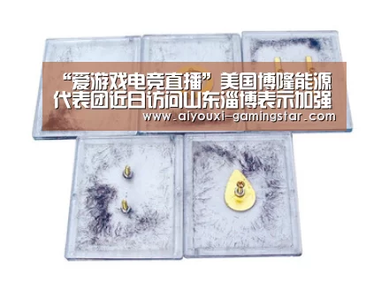 “爱游戏电竞直播”美国博隆能源代表团近日访问山东淄博表示加强新能源合作(图3) 爱游戏电竞竞猜