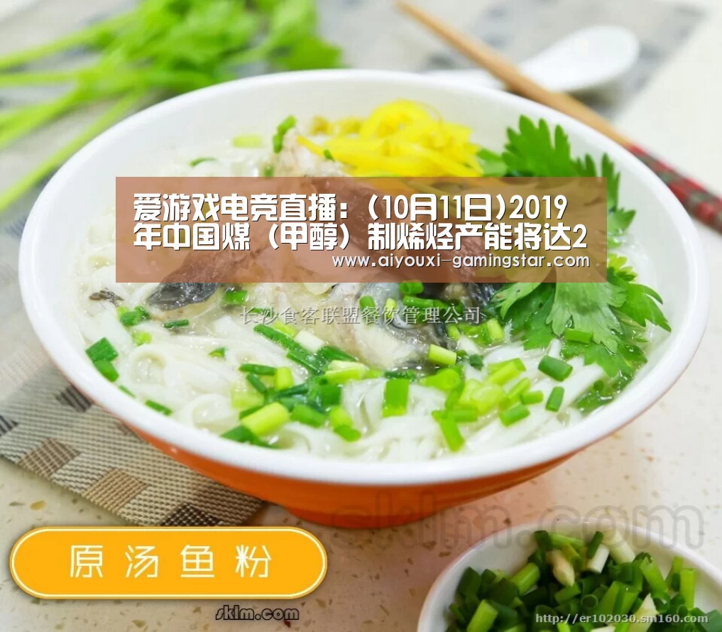 爱游戏电竞直播:(10月11日)2019年中国煤(甲醇)制烯烃产能将达2821万吨其中PE/PP达80%(图2) 爱游戏电竞赛事